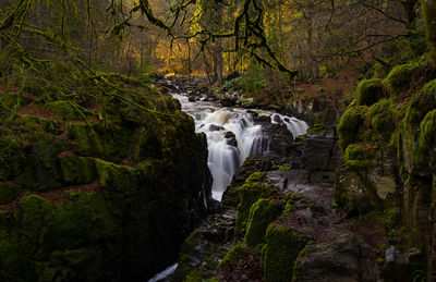 Stream flowing through rocks in forest