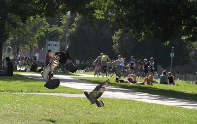 People in park