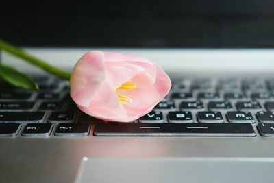 Close-up of computer keyboard