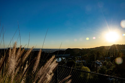 Scenic view of landscape against sky during sunset