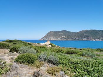 Scenic view of porto ferro la torretta against clear blue sky