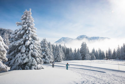 Nordic area in chamrousse on the plateau de l'arselle with the taillefer massif in the background