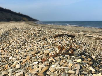 Surface level of stones on beach against sky