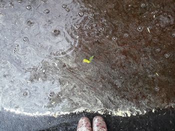 Low section of man standing in water