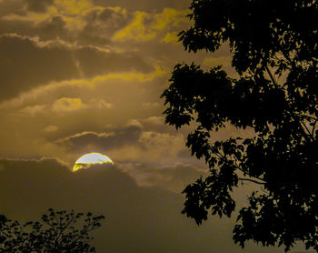 Low angle view of silhouette trees against sky