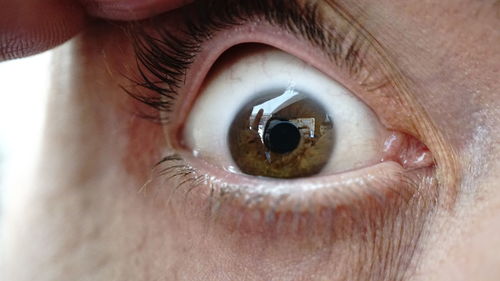 Close-up of human eye