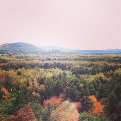 Scenic view of mountains