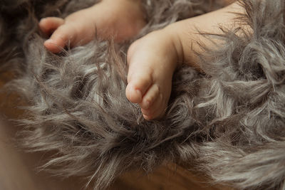 Close-up of baby hand on bed