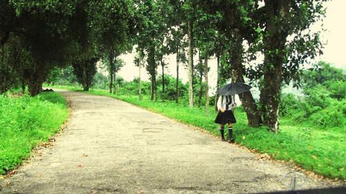 Empty country road along trees