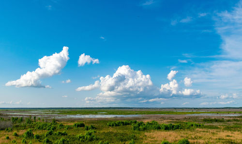 Scenic view of field against sky