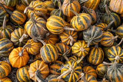 Full frame shot of yellow pumpkins