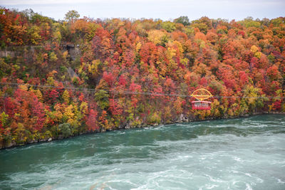 Scenic view of river amidst trees during autumn