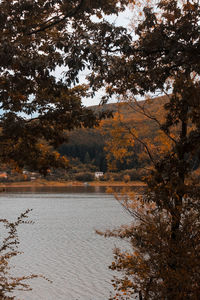 Scenic view of lake amidst trees during autumn