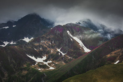 The beauty of fagaras mountains, romania. summer landscape from carpathians.