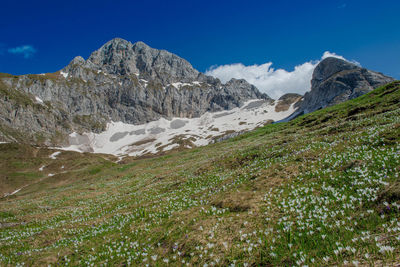 Scenic view of snowcapped mountains against blue sky