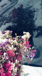 Close-up of flowers blooming outdoors