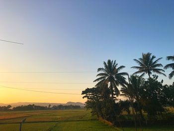 Scenic view of landscape against clear sky during sunset