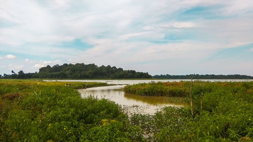 Scenic view of lake against sky