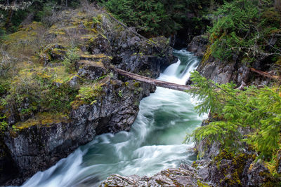 Water flowing through rocks in forest