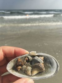 Midsection of person holding shell at beach