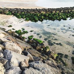 Rocks in sea