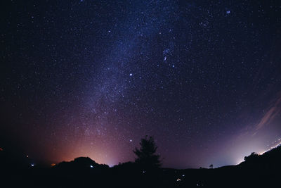 Low angle view of silhouette trees against sky at night