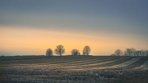 Scenic view of field against sky at sunset