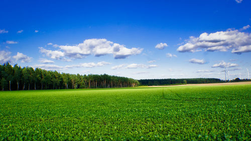 Scenic view of agricultural field against sky