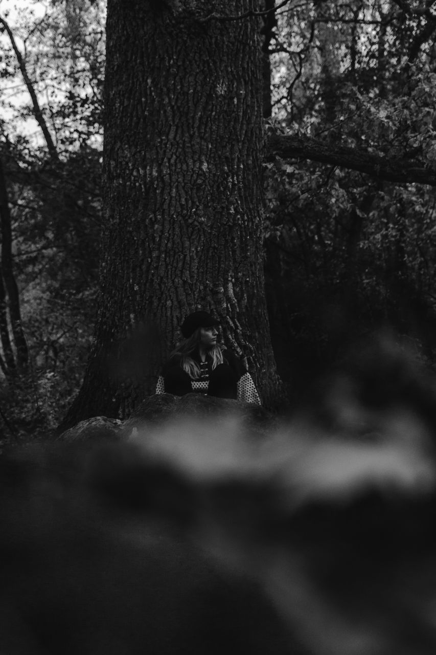 MAN IN TREE TRUNK