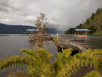 Plants by lake against sky