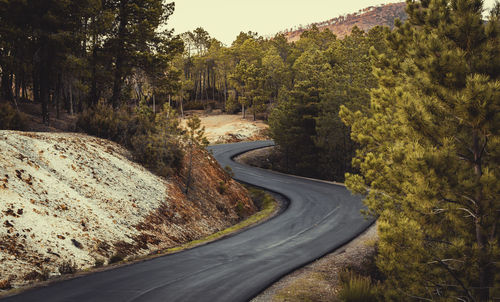 Road amidst trees in forest