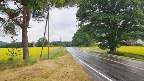 Road amidst trees and plants against sky