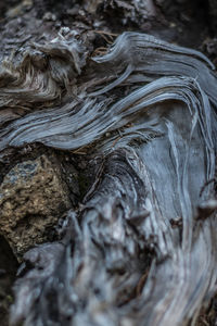 Full frame shot of tree trunk