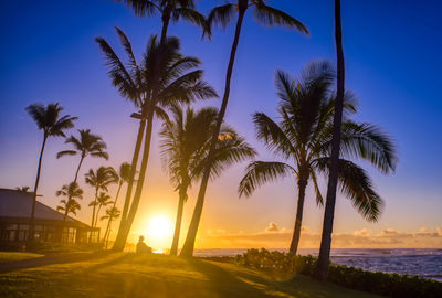 Palm trees on beach against sky during sunset