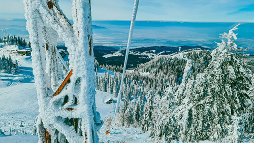 Scenic view of frozen trees on land against sky