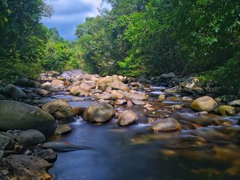 Surface level of stream flowing through rocks in forest