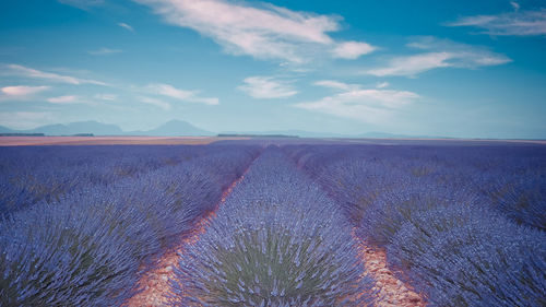 Scenic view of land against sky