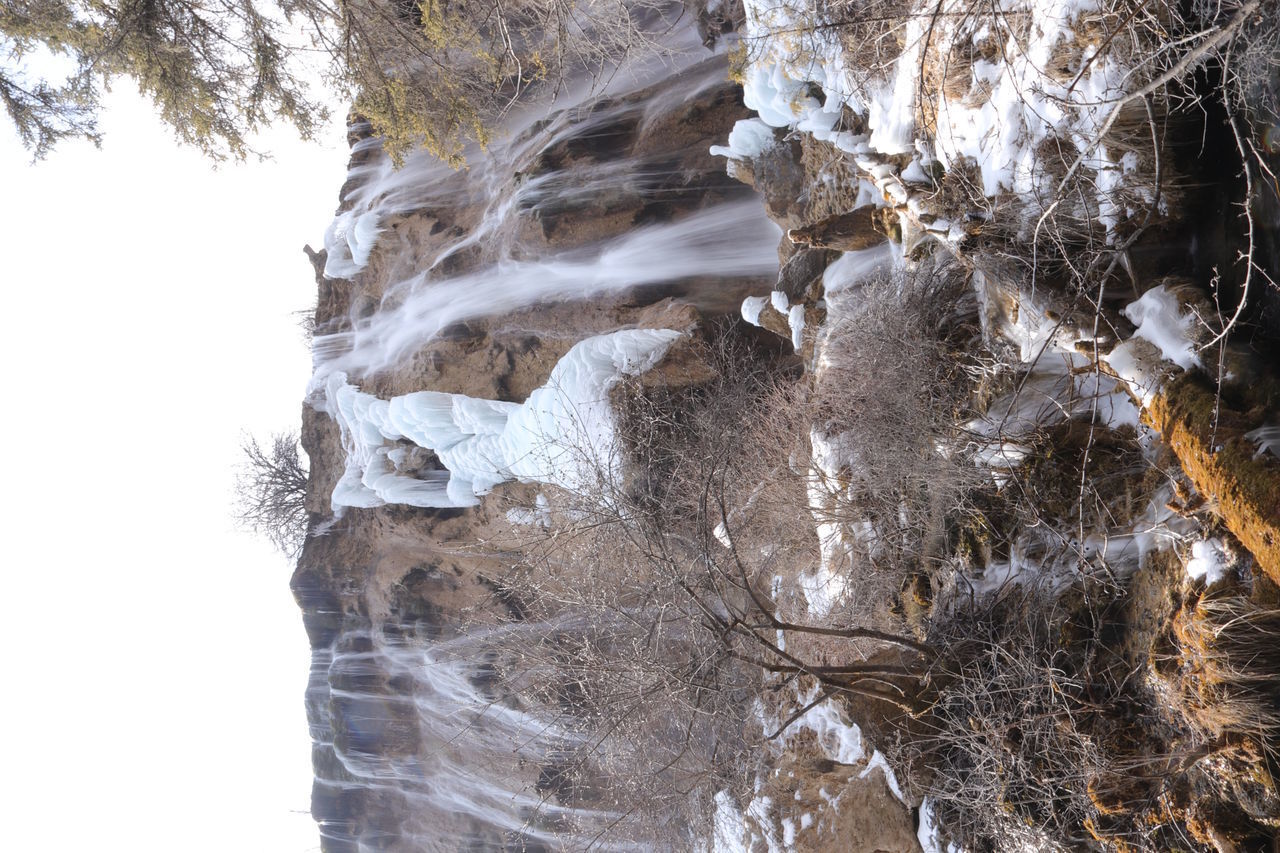 VIEW OF ICICLES ON LAND