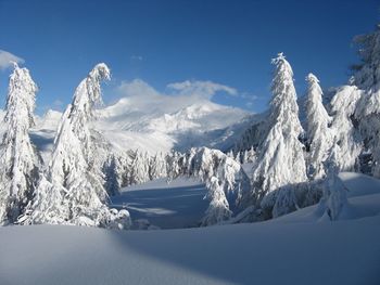 Scenic view of snow covered mountains against sky