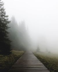 View of footpath in foggy weather