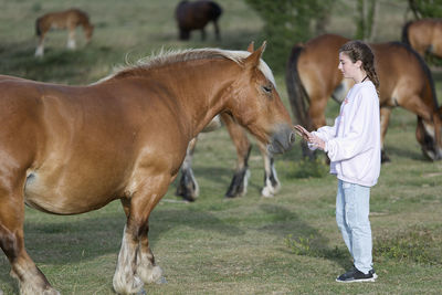 Teenage girl with horses on field