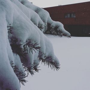 Scenic view of snow covered landscape against sky