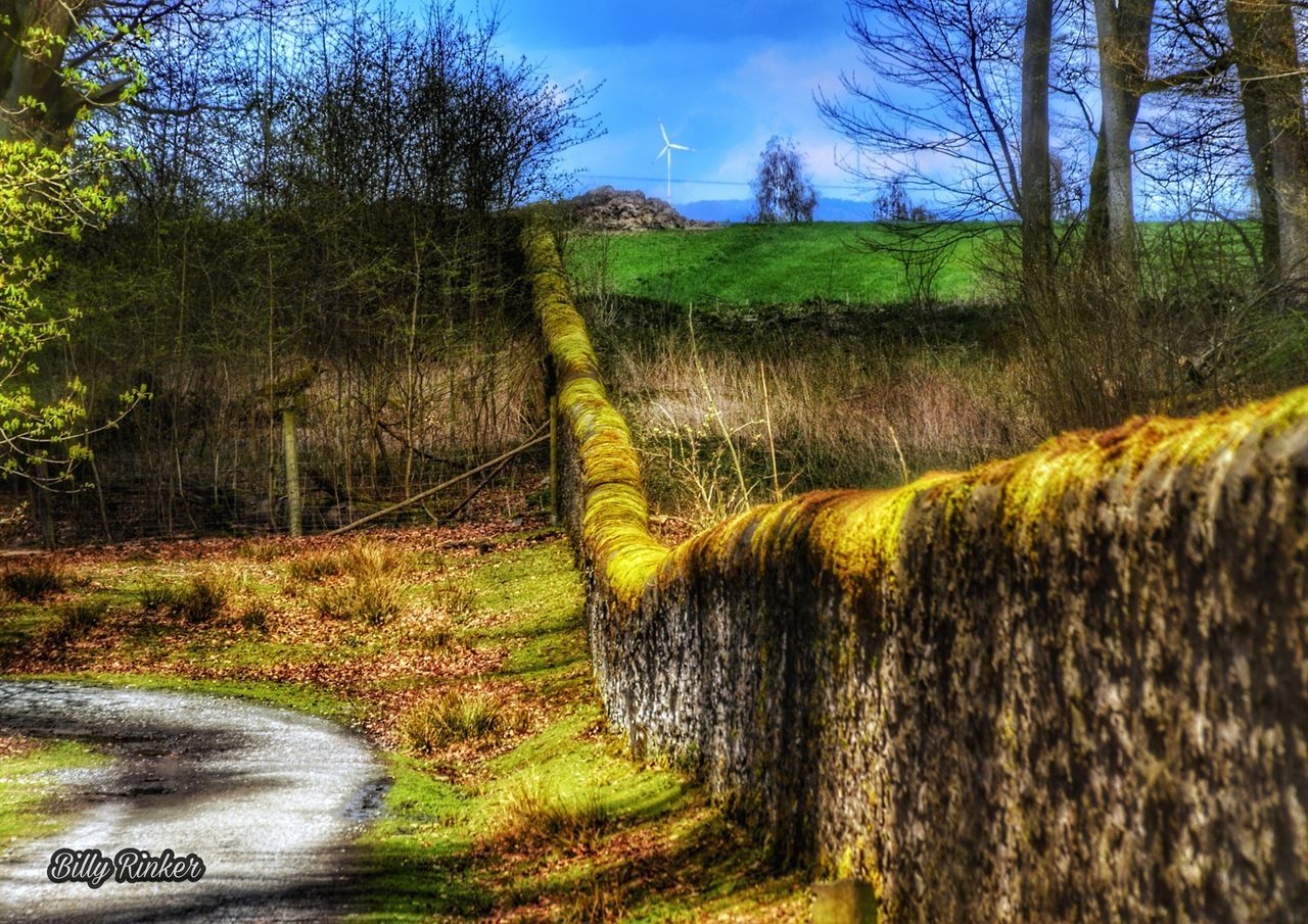 SCENIC VIEW OF LAND AGAINST SKY