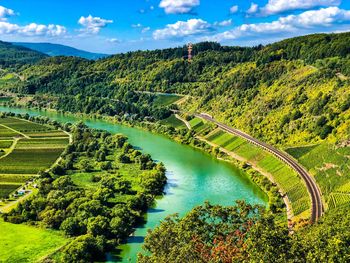 Scenic view of river amidst trees against sky