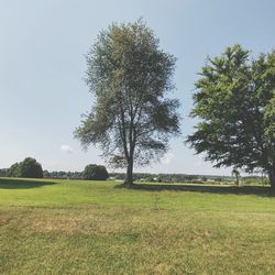 Scenic view of grassy field against sky