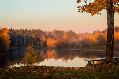 Scenic view of lake by trees in forest during autumn
