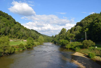 Scenic view of river amidst trees against sky