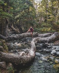 Man standing on rock in forest