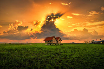 Scenic view of hut on agricultural field against sky during sunset