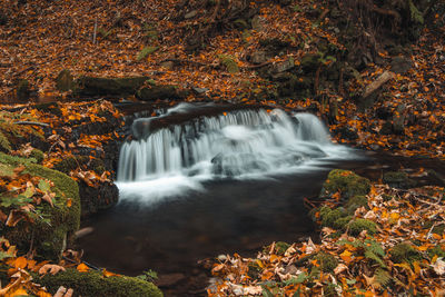 Vlasky river with sun in middle of autumn mixed forest. moravka, beskydy mountains, czech republic